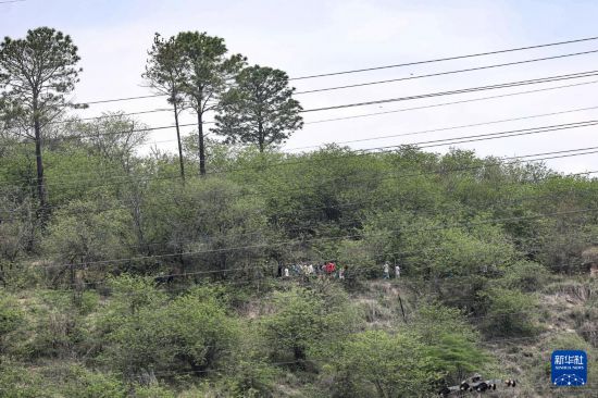 10月29日,在巴西里约热内卢的佩尼亚社区,调查人员在警方行动后展开搜查。新华社发(克劳迪娅·马尔提尼摄)