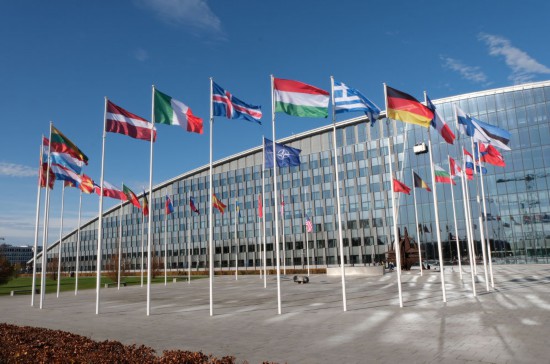 11月5日,在比利时首都布鲁塞尔,北约及成员国旗帜飘扬在北约总部外。 新华社记者 张兆卿 摄