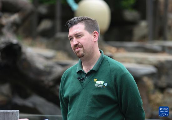 　　11月10日，在澳大利亚阿德莱德，阿德莱德动物园园长查德·克里特尔接受新华社采访。新华社记者 马平 摄