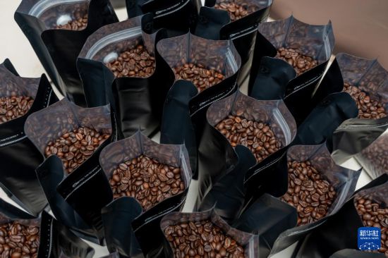 这是在老挝占巴塞省一处咖啡种植园拍摄的烘焙完成的咖啡豆（2025年12月17日摄）。新华社发（凯乔摄）