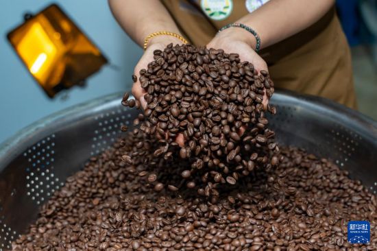 工作人员在老挝占巴塞省一处咖啡种植园展示烘焙完成的咖啡豆（2025年12月17日摄）。新华社发（凯乔摄）