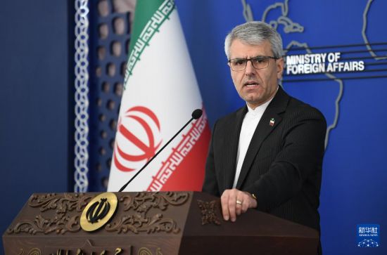 1月26日，伊朗外交部发言人巴加埃在伊朗首都德黑兰举行例行记者会。新华社记者 沙达提 摄