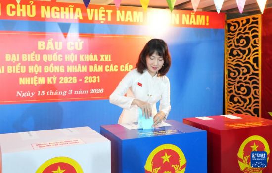 　　3月15日，选民在越南胡志明市参加投票。新华社/越通社