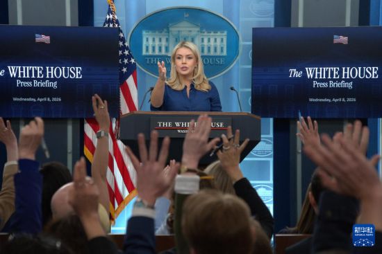 　4月8日，在美国首都华盛顿白宫，白宫新闻秘书莱维特出席记者会。新华社发（李源清摄）