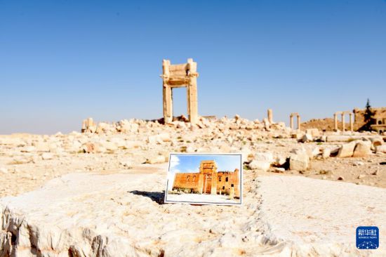 这是2024年11月13日，一张老照片被放置在叙利亚帕尔米拉古城遗址废墟前，对比可见该遗址受到的巨大破坏。叙利亚帕尔米拉古城遗址位于大马士革东北方，是叙利亚境内“丝绸之路”上的著名古城。1980年，该遗址被联合国教科文组织列入世界遗产名录，2013年被列入濒危世界遗产名录。新华社发（蒙塞夫·梅马里摄）
