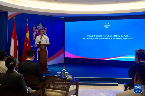 4月21日，在印度尼西亚首都雅加达，印尼工商会主席阿宁迪亚·诺维扬·巴克里出席第四届中国国际供应链促进博览会印度尼西亚推介会并致辞。新华社记者 张怡晟 摄