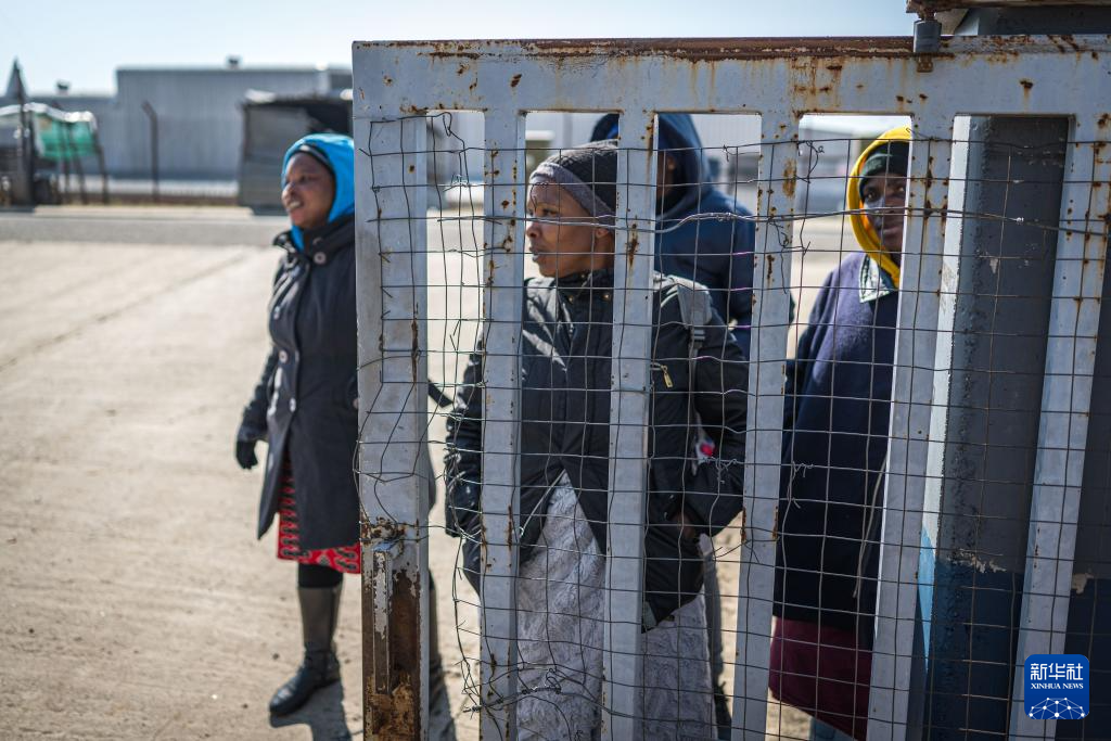 7月29日,失业的纺织工人在位于莱索托首都马塞卢的一家纺织工厂外等待招工。新华社记者 王冠森 摄