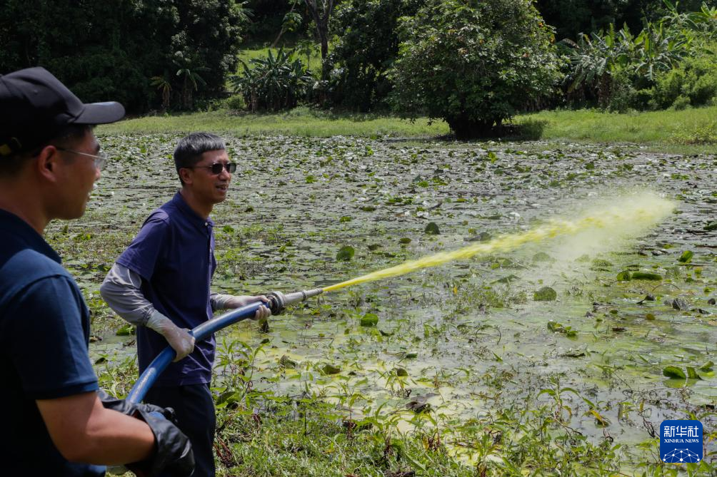 1月1日，在坦桑尼亚桑给巴尔的奔巴岛，中国援助坦桑尼亚“桑给巴尔血吸虫病防治技术项目”专家组在当地水塘开展灭螺作业。新华社发（赫尔曼·埃马纽埃尔摄）